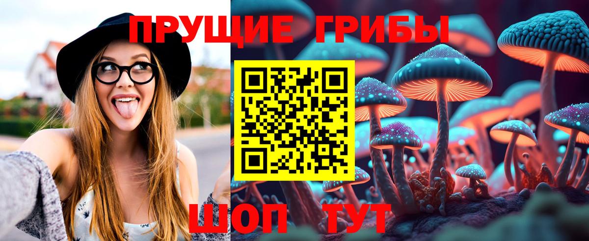 Галлюциногенные грибы Magic Shrooms Дзержинск